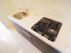 ロンドヴェルチュ白川公園 1303号-10