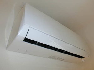 カスティージョ フェリス A201号-8