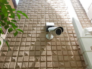 ステラ向陽 0303号-3