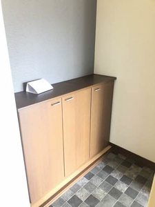 Ｃｏｕｒｔ　Ａｚｅｌｉａ E201号-3