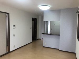 Ｃｏｕｒｔ　Ａｚｅｌｉａ E201号-5