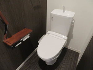 ＳＫＹＰＩＥＡ 0203号-6