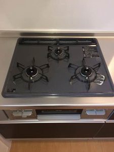 ヴェルドミール春明 0201号-3