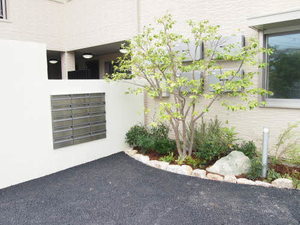 ラシュレ 0303号-6