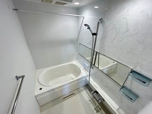 ｓｏｌ（ソル） 0204号-4
