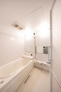 セリシール　ビジュ 0205号-10