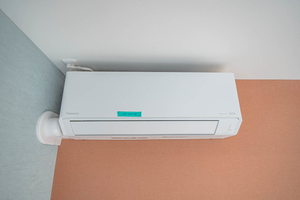 エバンジェリスト 0101号-12