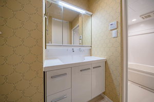 エバンジェリスト 0102号-5