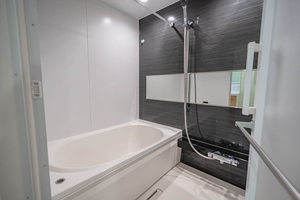 エバンジェリスト 0305号-9