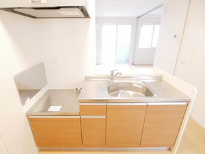 ルーチェ引山 0205号-6