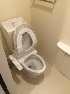 ラグジュアリープレイスタカバタ 0101号-9