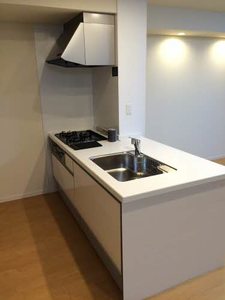 ラグジュアリープレイスタカバタ 0102号-6