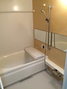 ラグジュアリープレイスタカバタ 0102号-10