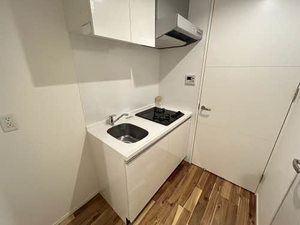 レジデンス千代田 0502号-5