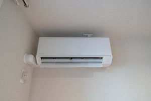 ドエル　ジョーダン 0101号-14