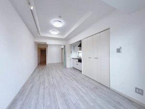 ＷＯＲＬＤ　ＦＬＡＧ　ＭＥＩＥＫＩ 0202号-2