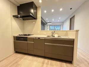 マストスタイル東白壁 0203号-10