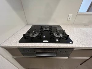 マストスタイル東白壁 0303号-11