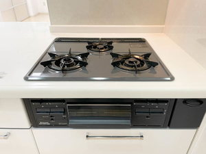 Verde Leaf 菊井 0203号-5