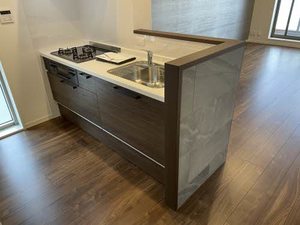 シャーメゾンステージ殿町 0201号-3