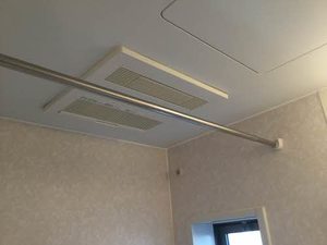 カトレアS Ⅲ 3103号-8