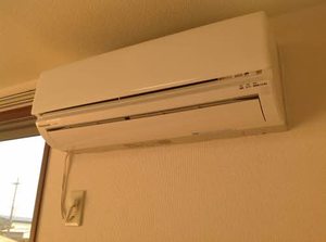 カトレアS Ⅲ 3103号-11