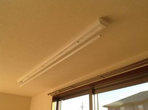 カトレアS Ⅲ 3103号-12