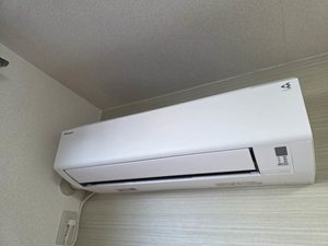 カトレアＳ　Ⅲ 3103号-15