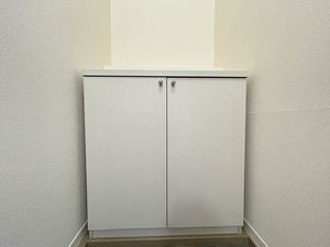 ウィンダミア A203号-10