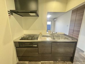 シャーメゾンステージ豊橋 0101号-8