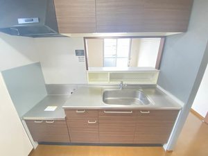 ＭａｓｔＴｏｗｎ松岡Ⅱ 0202号-4