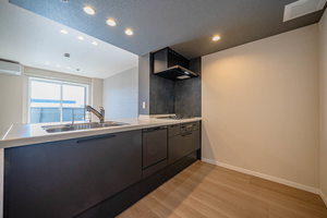 シャーメゾンサクラスクエア本郷 0305号-8