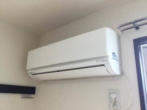 プラセオ一色 C203号-11