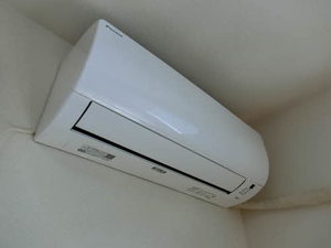 ＢＥＬＬＰＨＡ２５ 0202号-8