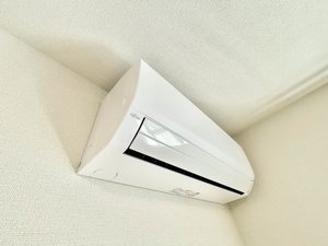 シャーメゾンArtsy 0102号-14