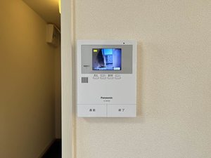 PETER RABIT PLAZA M101号-11