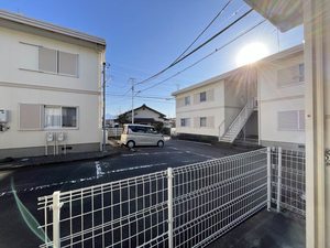 PETER RABIT PLAZA M101号-15