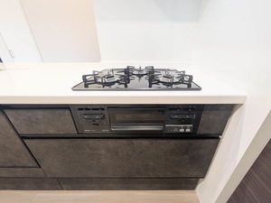 べレオ伊勢山 0201号-8