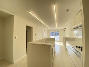 耀（かがやき） 0201号-11