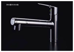 耀（かがやき） 0202号-9