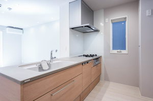 リラ　グリシーヌ 0101号-9