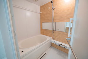 プレシャスレジデンス丸の内 0102号-10