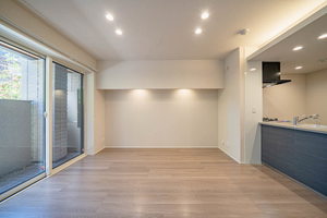 プレシャスレジデンス丸の内 0106号-3
