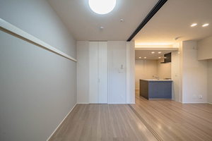 プレシャスレジデンス丸の内 0107号-8
