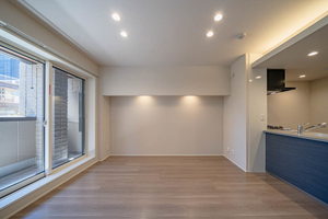 プレシャスレジデンス丸の内 0206号-4
