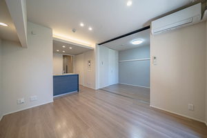 プレシャスレジデンス丸の内 0206号-5