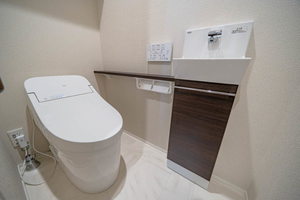 プレシャスレジデンス丸の内 0208号-10