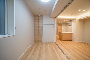プレシャスレジデンス丸の内 0302号-8