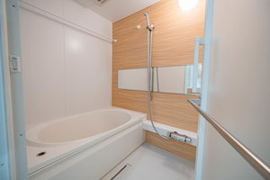 プレシャスレジデンス丸の内 0302号-10