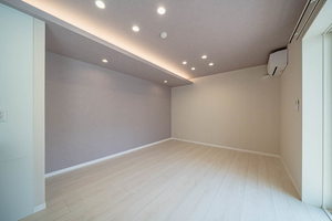 Ｓｈａｍａｉｓｏｎ　ｈｉｌｌｓ　白壁 0103号-3